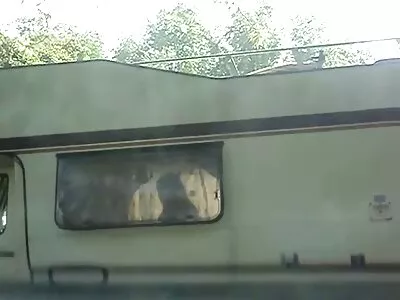 அழகான மனைவி சேவல் உத்தரவுகளைப் பின்பற்றி, இந்த வீடியோவை இணையத்தில் இடுகையிடுவதை ஏற்கவும்