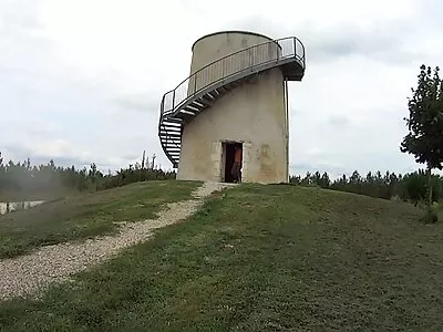 பொன்னிறம் மெல்ல உற்றுப் பார்க்கிறது