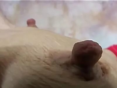 அமெச்சூர் டீன்