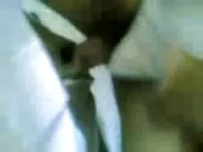 பெண் நாய்