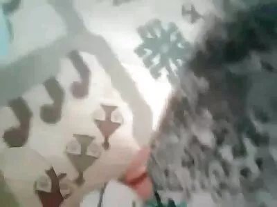 ஒரு பட்டு ஹேர்டு ஹாட்டி குதித்து குலுங்குகிறது